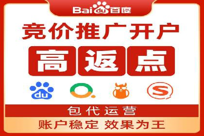 实战技巧：竞价推广案例解析与效果评估